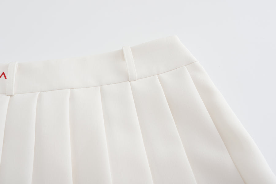 Colorway Embroidered Pleats  Skirt