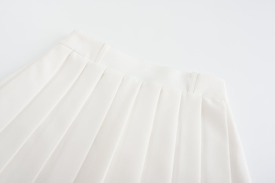 Colorway Embroidered Pleats  Skirt