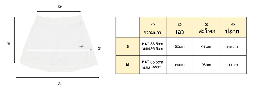 Block Pleated Skirt